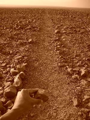 nazca.JPG