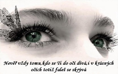 TLTt6pY_PB